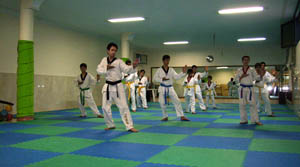 کلاس های رزمی